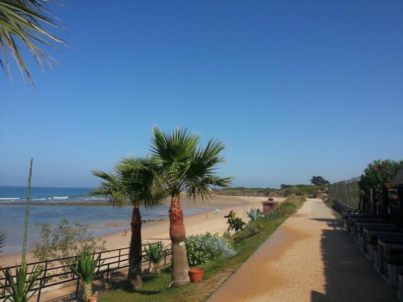 Beach Front Villa 10,000M2 Botanic Garden Zahora Esterno foto